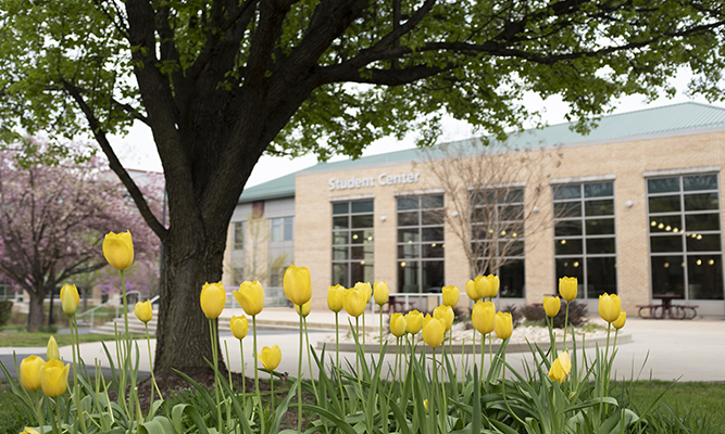 Fall campus