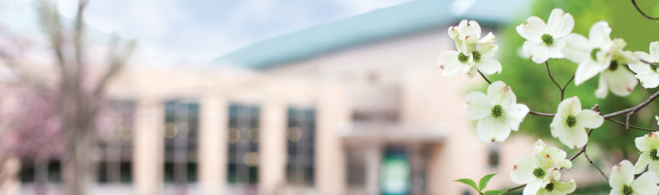 Spring Registration is Now Open