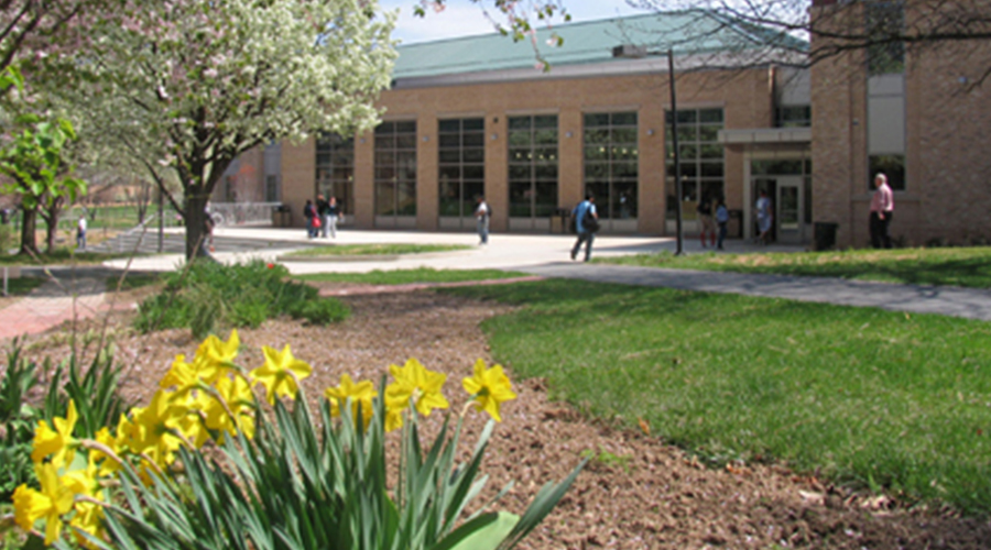 FCC Student Center with Daffodils