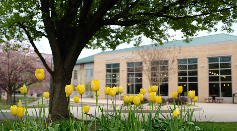 FCC Campus Spring