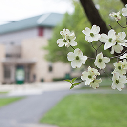 Spring Campus