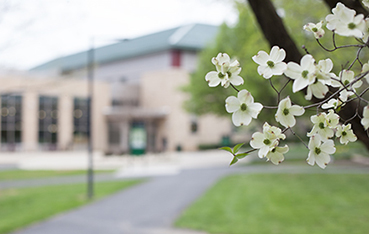 spring campus