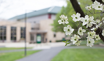 spring campus