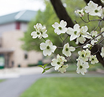 spring campus