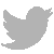 twitter icon gray