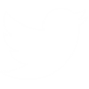 Twitter Icon