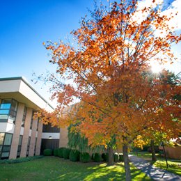 Fall Campus