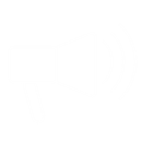 Action Icon